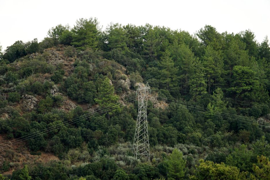 Electricity pylons and power lines running through a green forested corridor