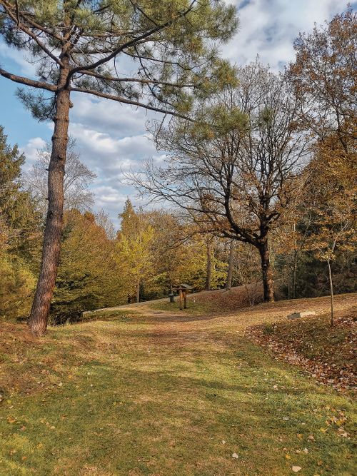 Free Explore the serene beauty of an autumn park trail in İstanbul, Türkiye, with colorful foliage. Stock Photo