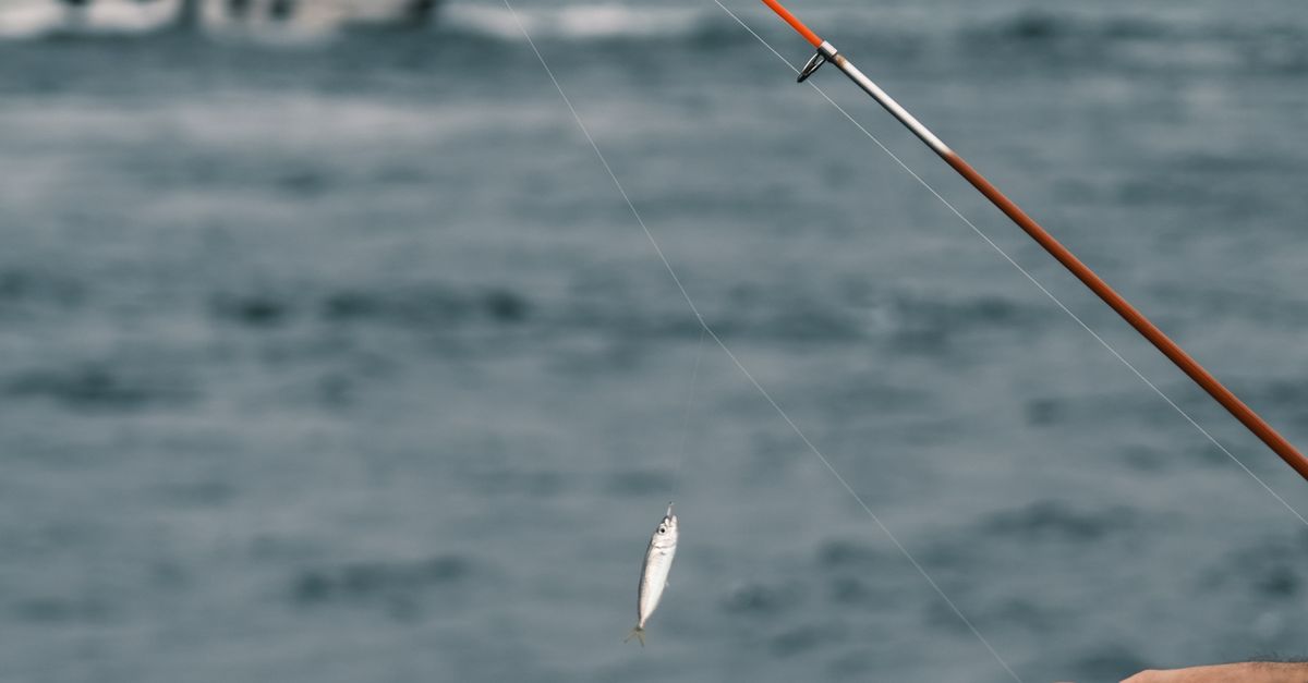 Serne String Fish Serene Fishing Scene on a Cloudy Day · Free Stock Photo