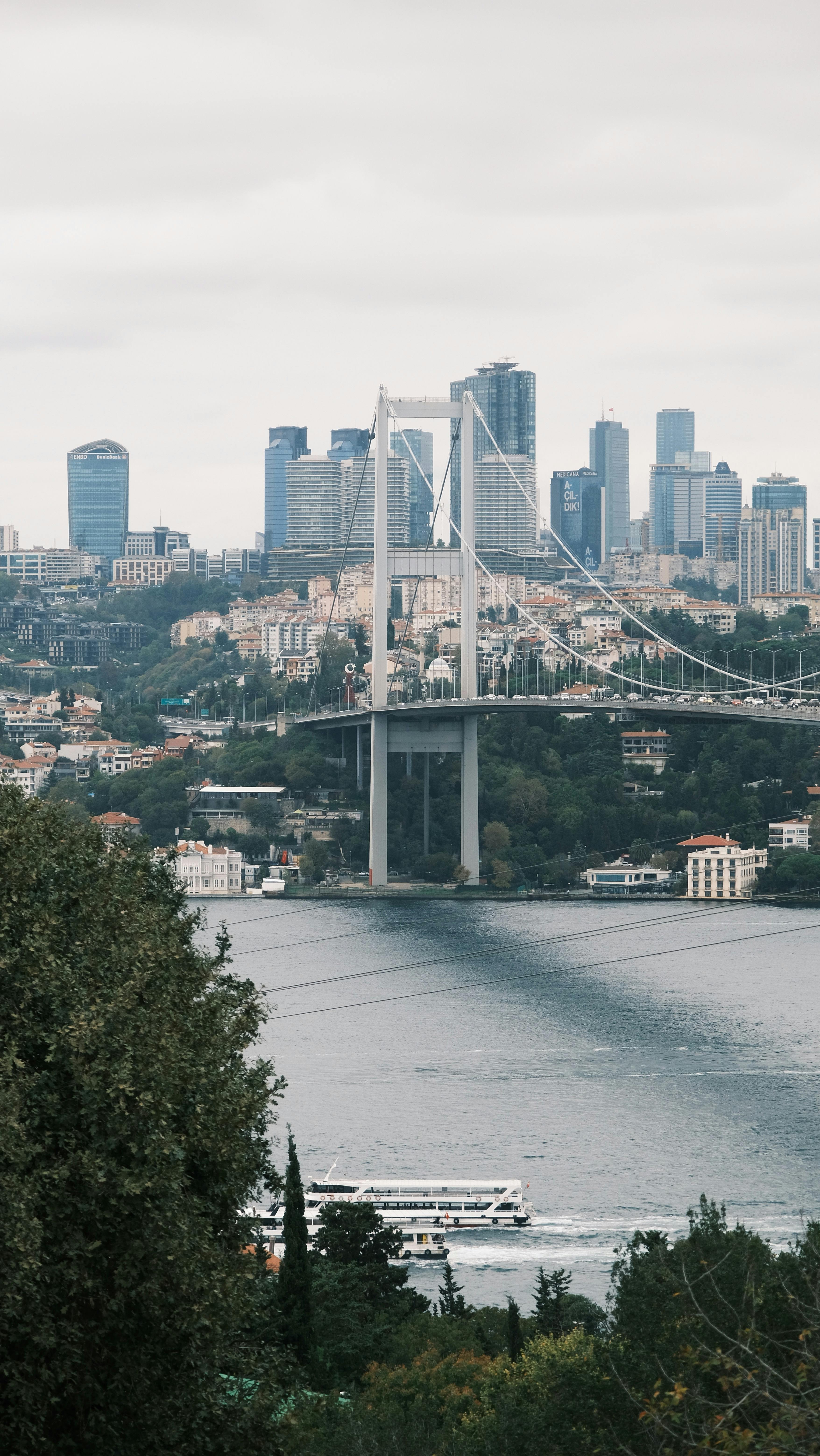 Scenic view of the Bosphorus Bridge and Istanbul skyline over the water.