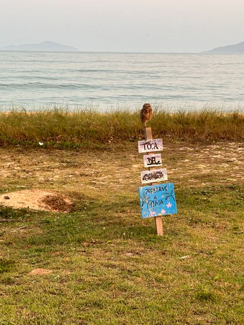 Free A scenic beach view in Brazil featuring handmade conservation signs. Stock Photo