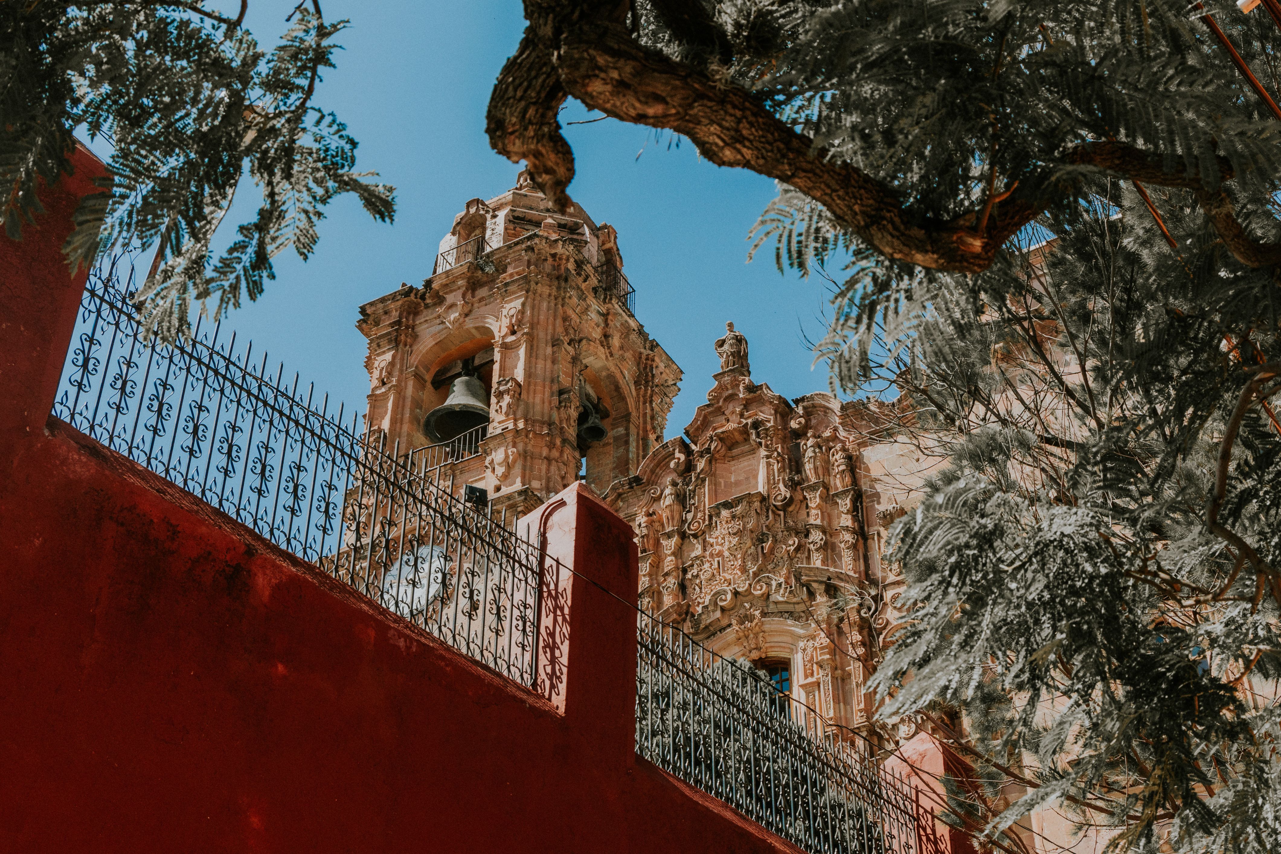 Stunning view of Guanajuato's historic architecture with vibrant greenery framing the scene.