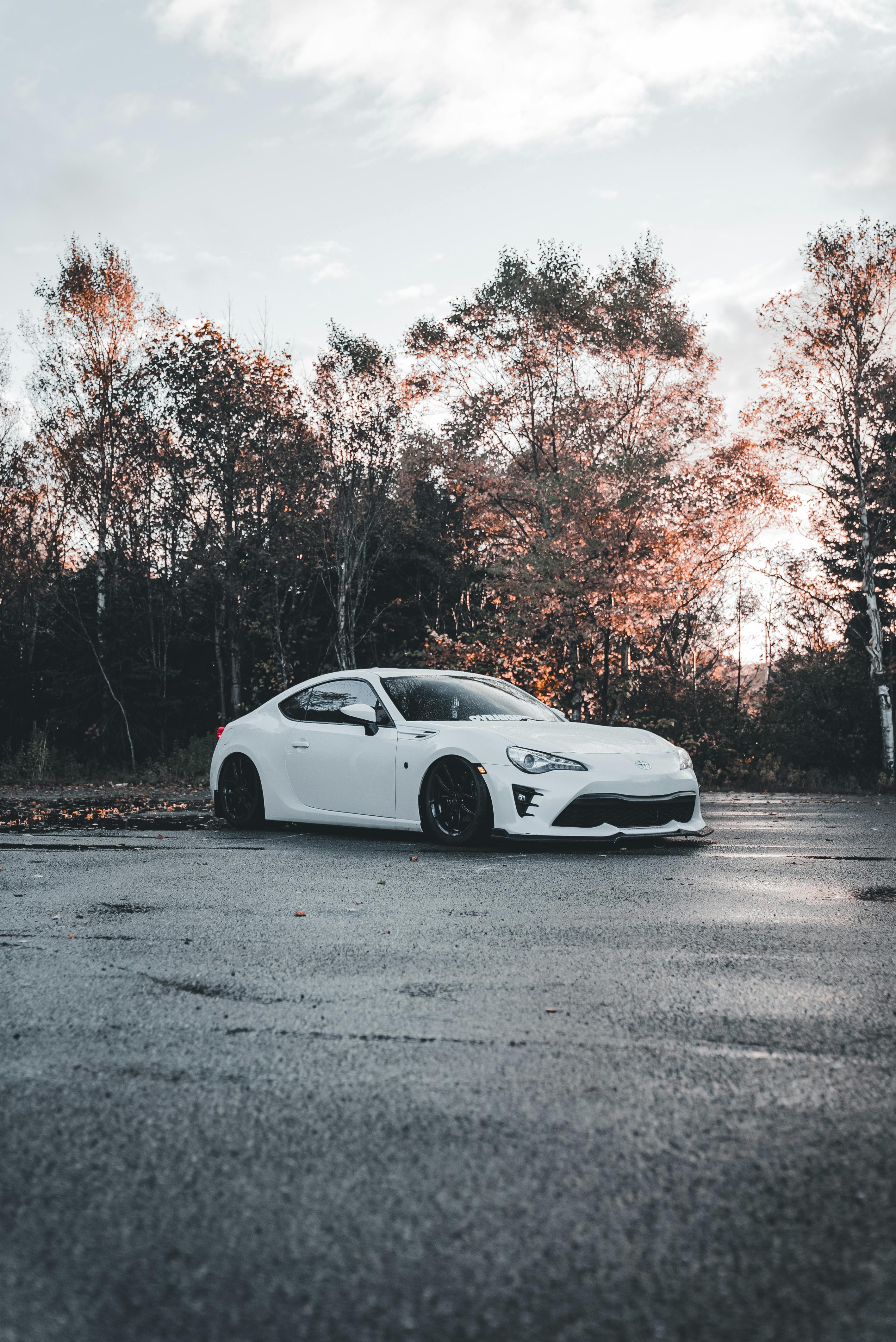 sleek white sports car in autumn landscape