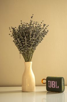 JBL Go 3 Vale a Pena em 2026? Review Completo da Caixa de Som à Prova d’Água - imagem 3