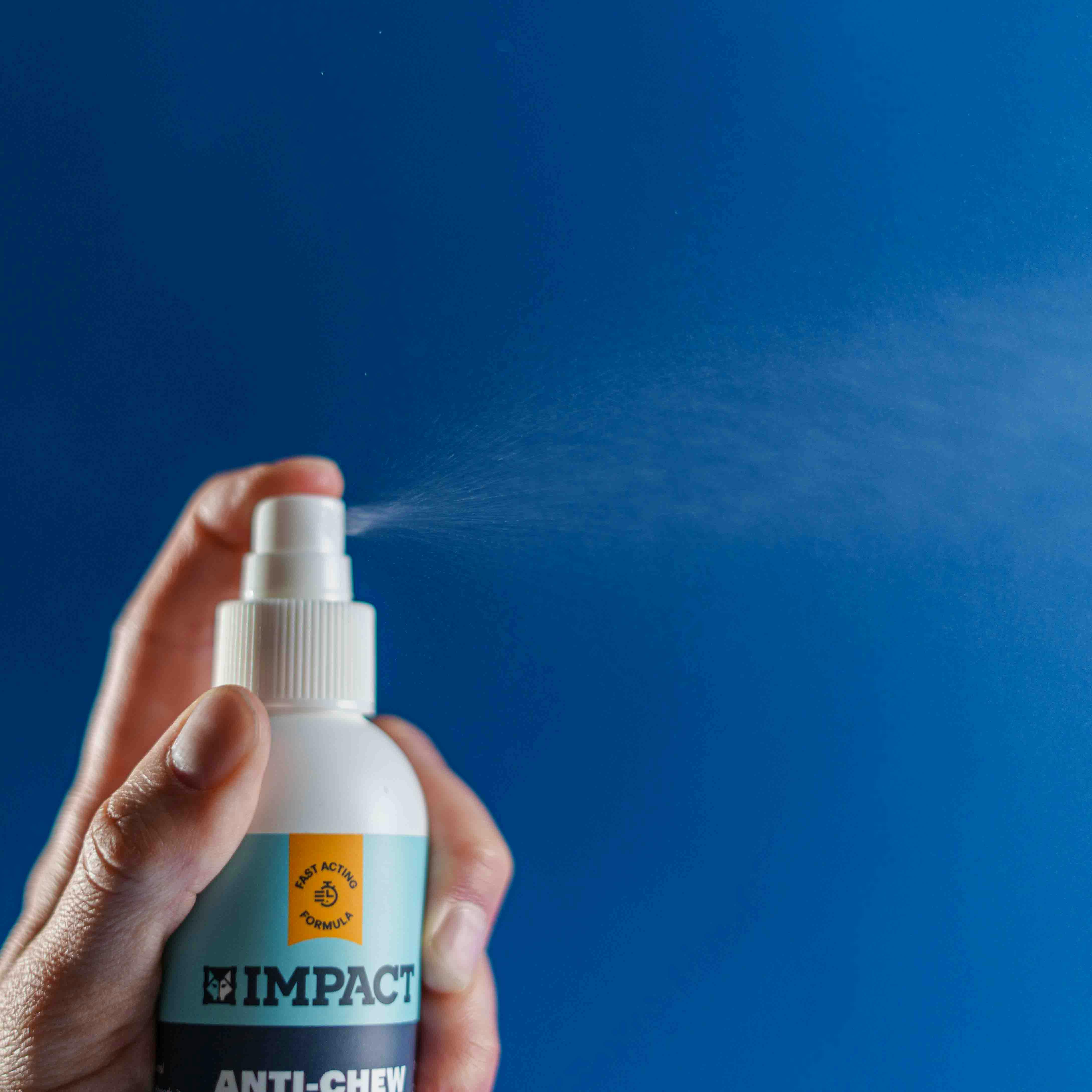 Owner using spray bottle to train their dog gently