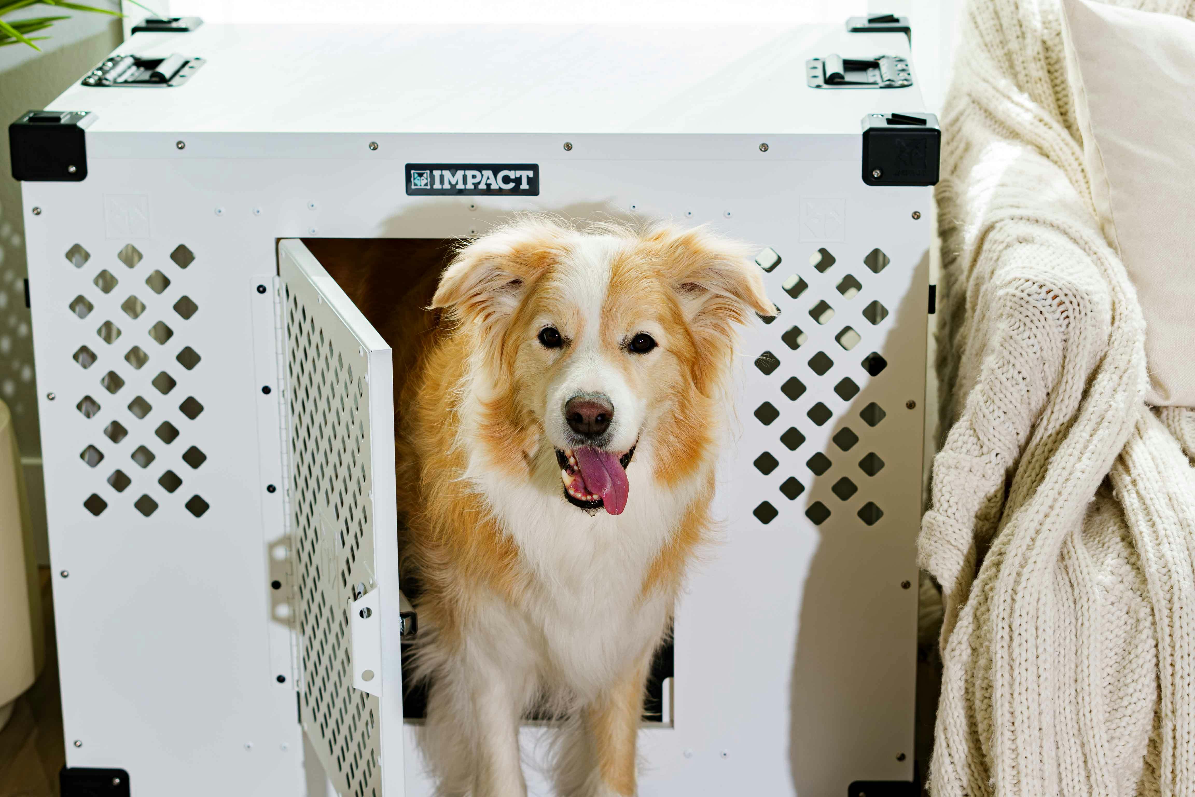 Enhance Your Living Room Aesthetic with Impact Dog Crates and Optional Side Door