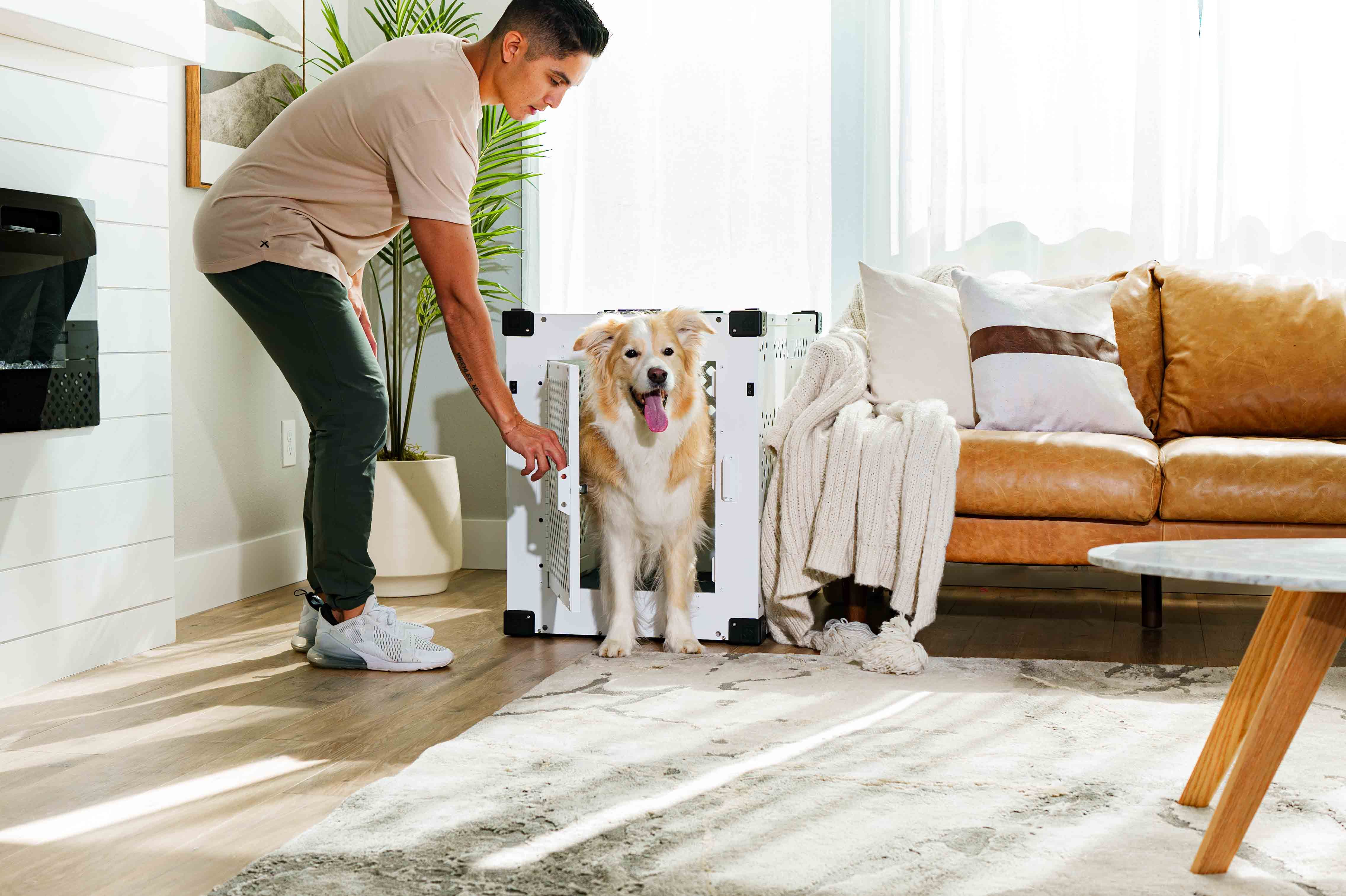 Cozy Living Room with Dog in Modern Crate · Free Stock Photo - Cozy Indoor Pet Crate