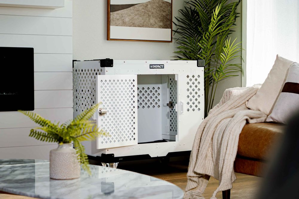 Open modern dog crate set up in a comfortable living room