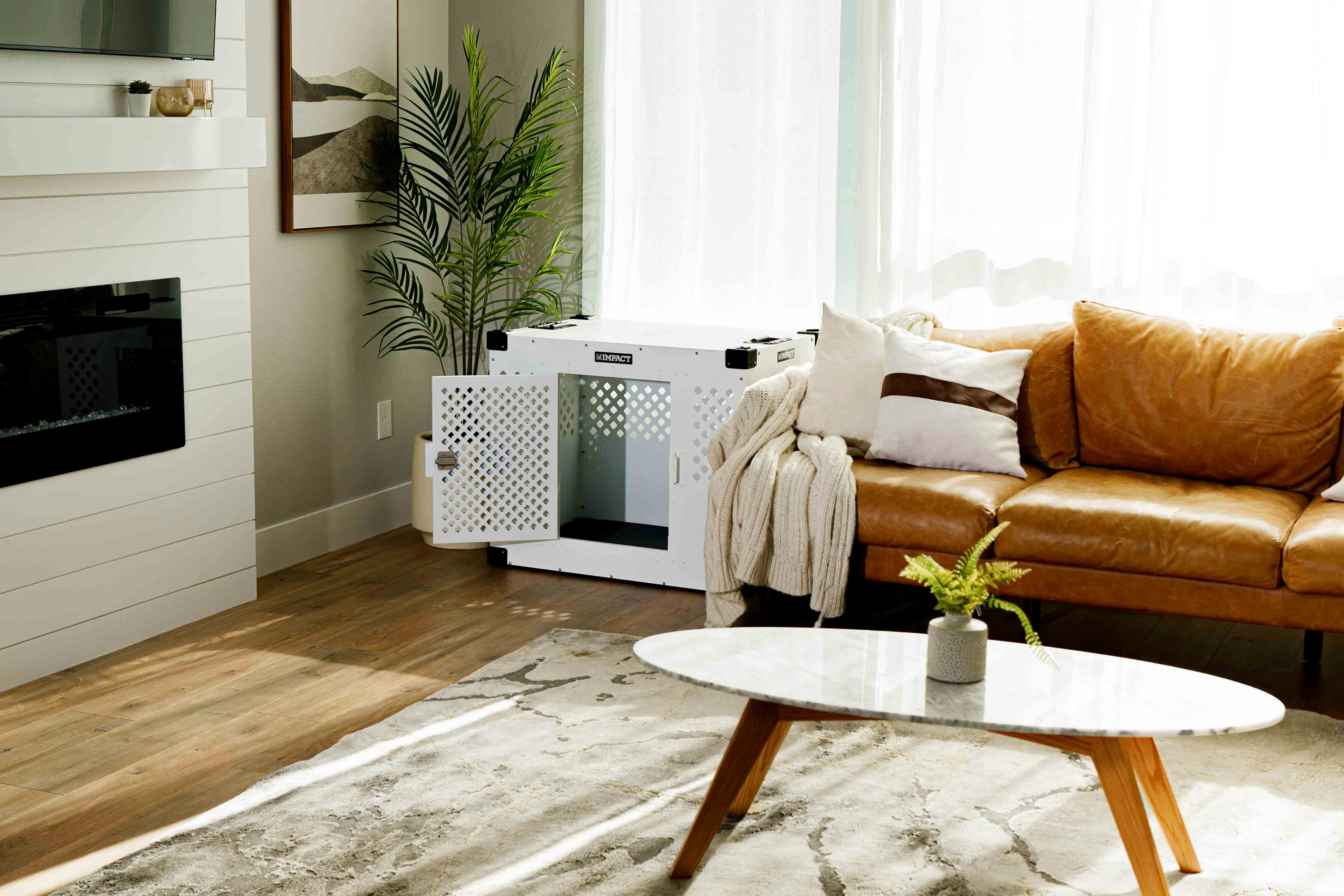  The Rise of Aussie Influencers