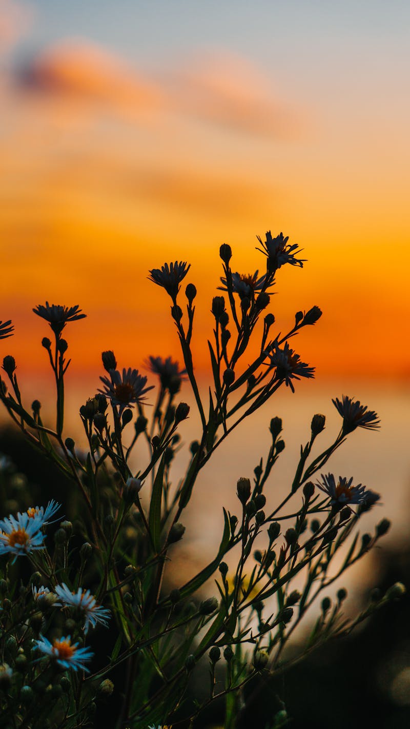 Close-up of a romantic dress with delicate details