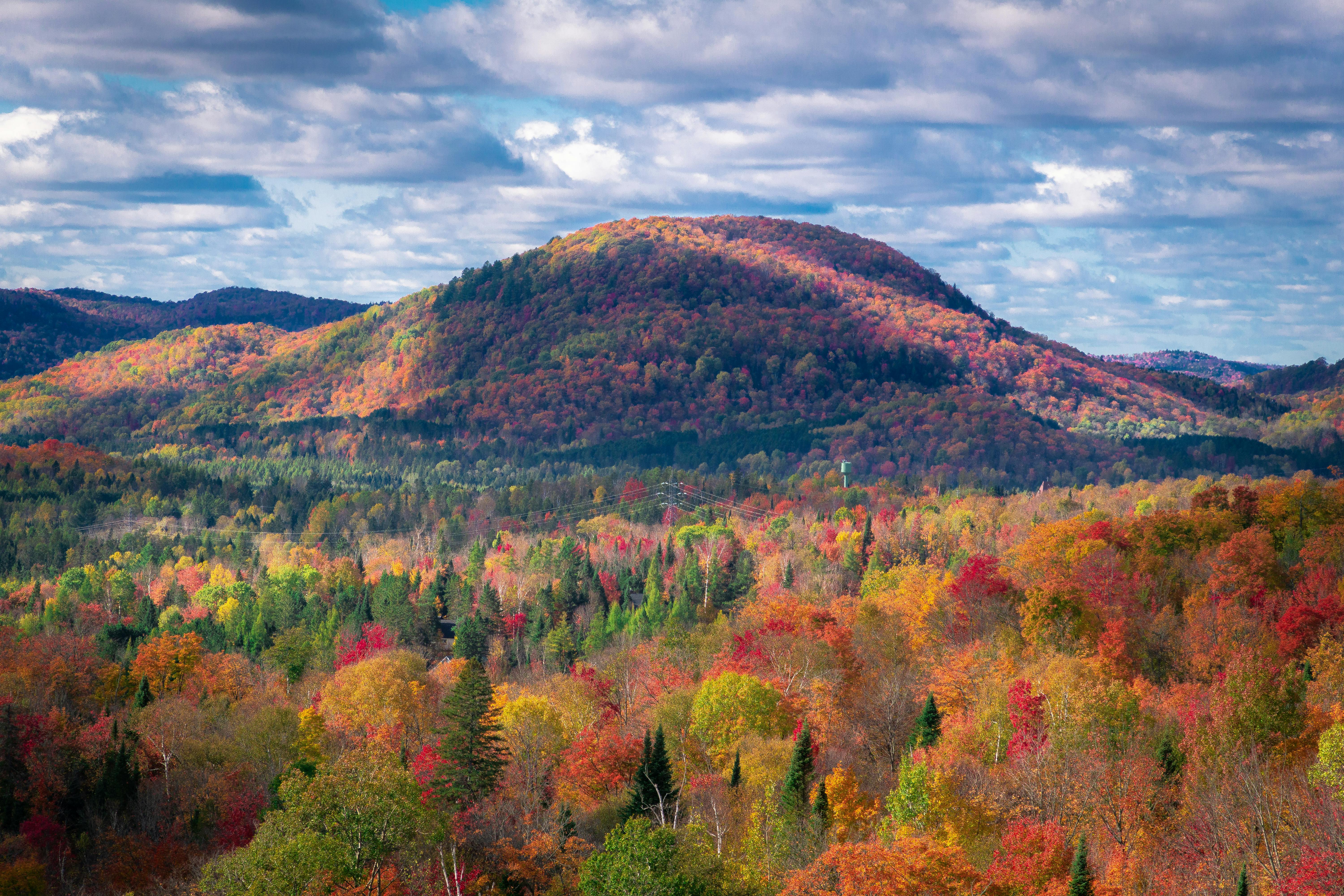 Couleurs D'automne époustouflantes Dans Les Montagnes Du Québec · Photo