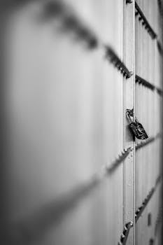 Artistic black and white photo of a padlock on a metal fence, captured in Buenos Aires.