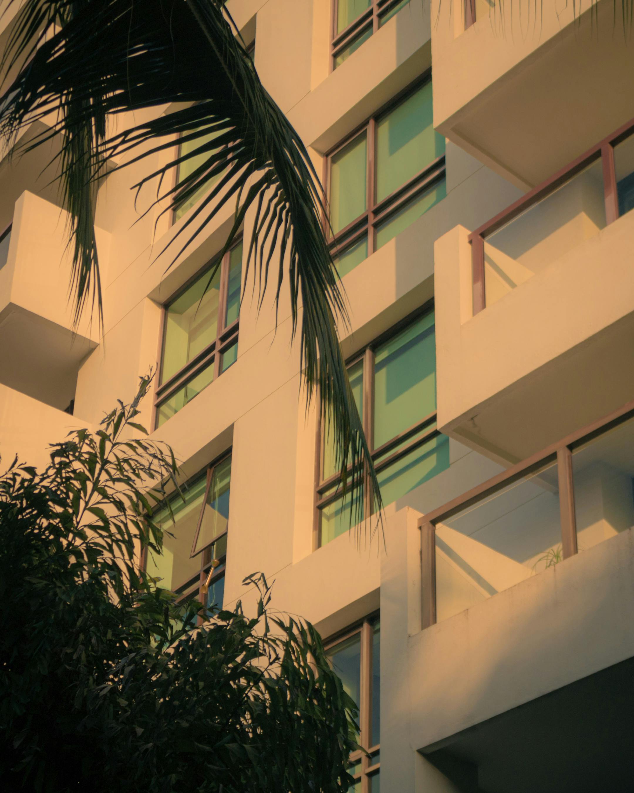 modern building facade with palm shadows