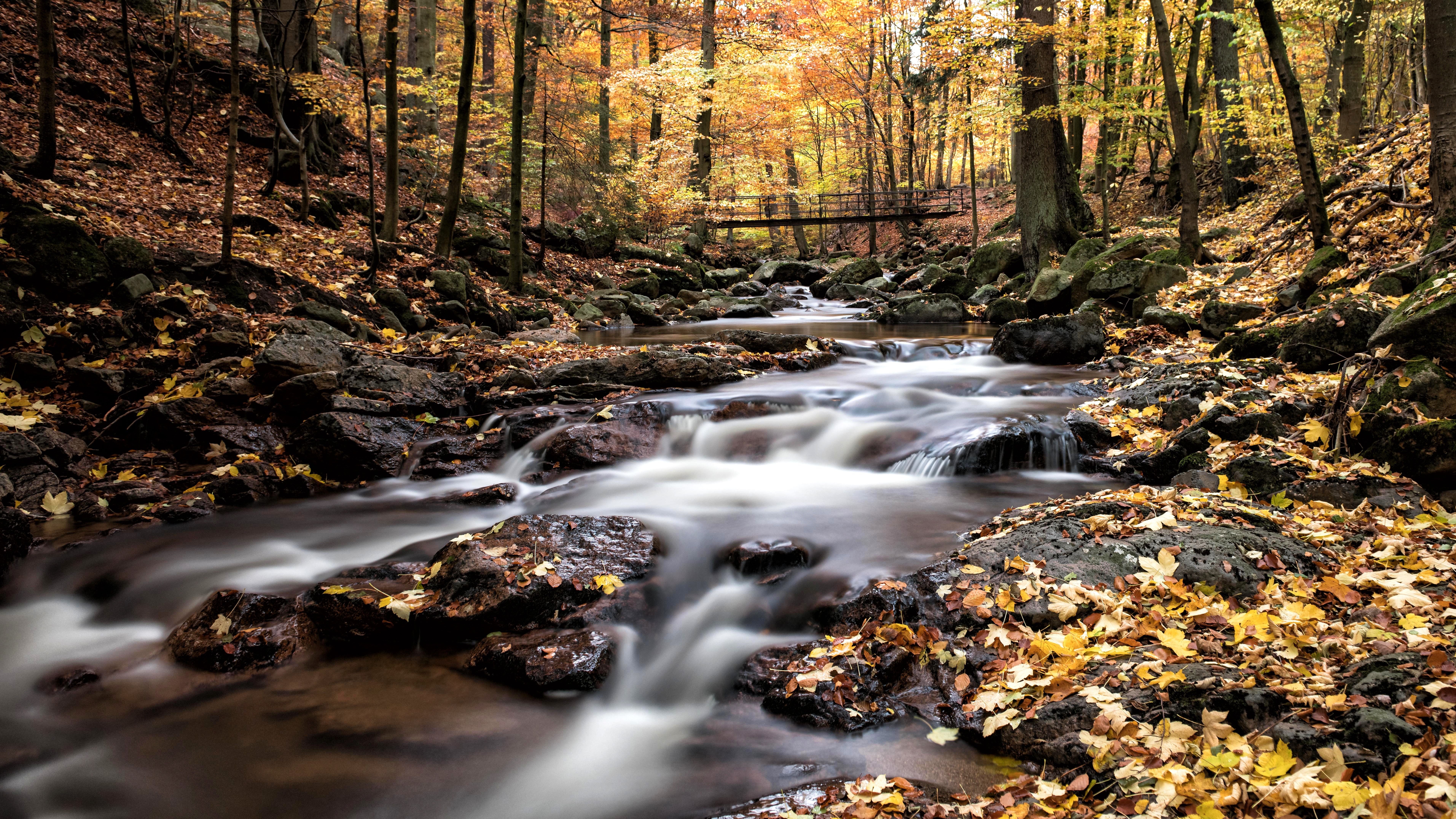 Stream the season 16 premiere of Discovery Channel’s ‘Gold Rush’ with a free trial — Photo by Wolfgang Weiser on Pexels