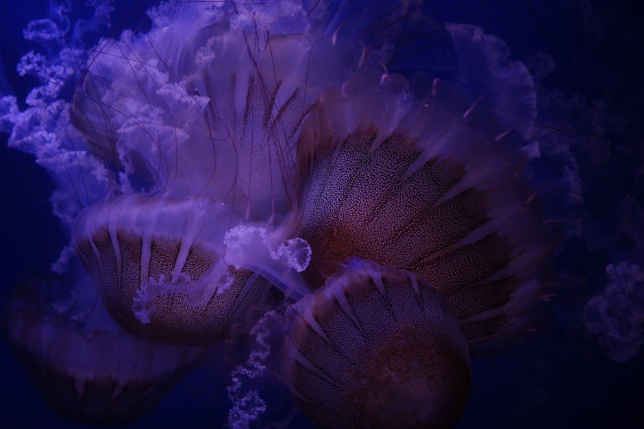 Endless Diversity of Underwater Flora and Fauna