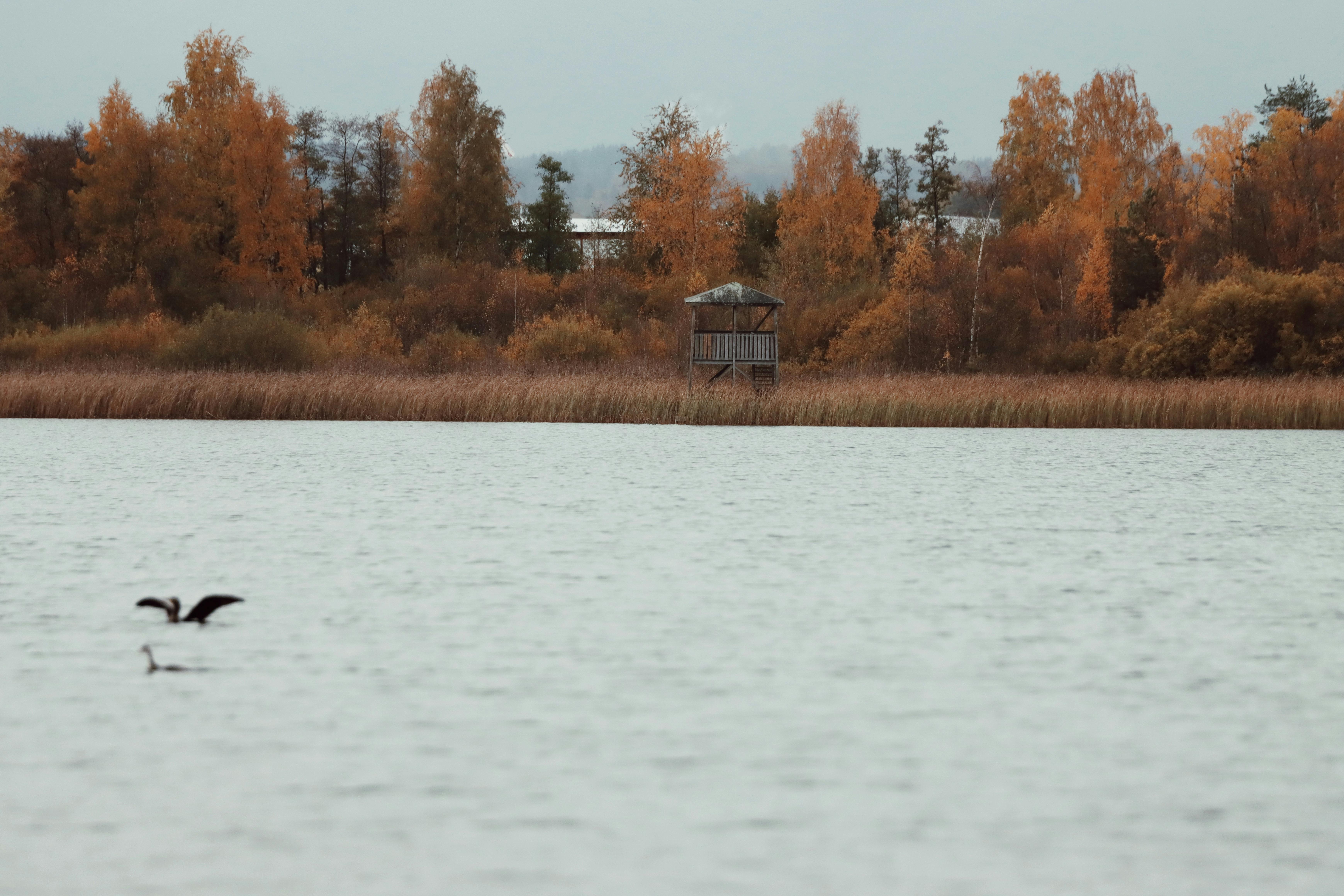 scenic autumn view of lake in jonkoping sweden