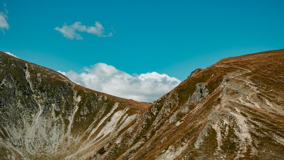 A rustic Greek mountain landscape with wild herbs growing among rocks under a clear blue sky