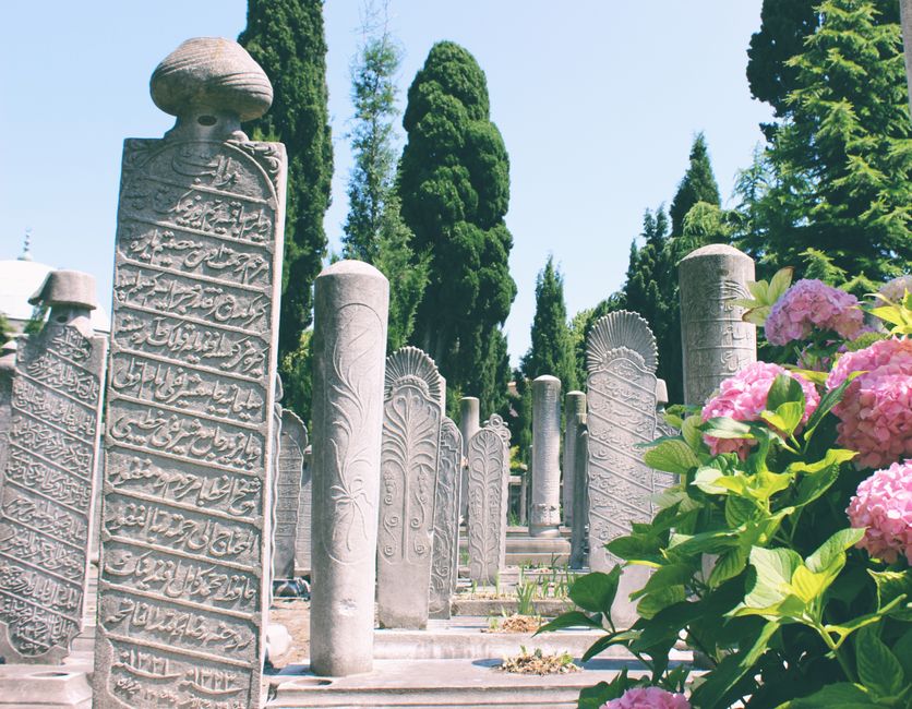 Fotomural Explora tumbas otomanas detalladas entre un follaje exuberante en un cementerio de Estambul.