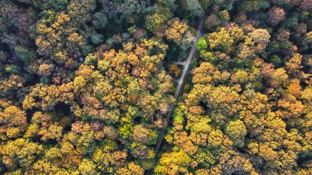A breathtaking aerial view of a colorful autumn forest in Allogny, France, showcasing vibrant fall foliage.