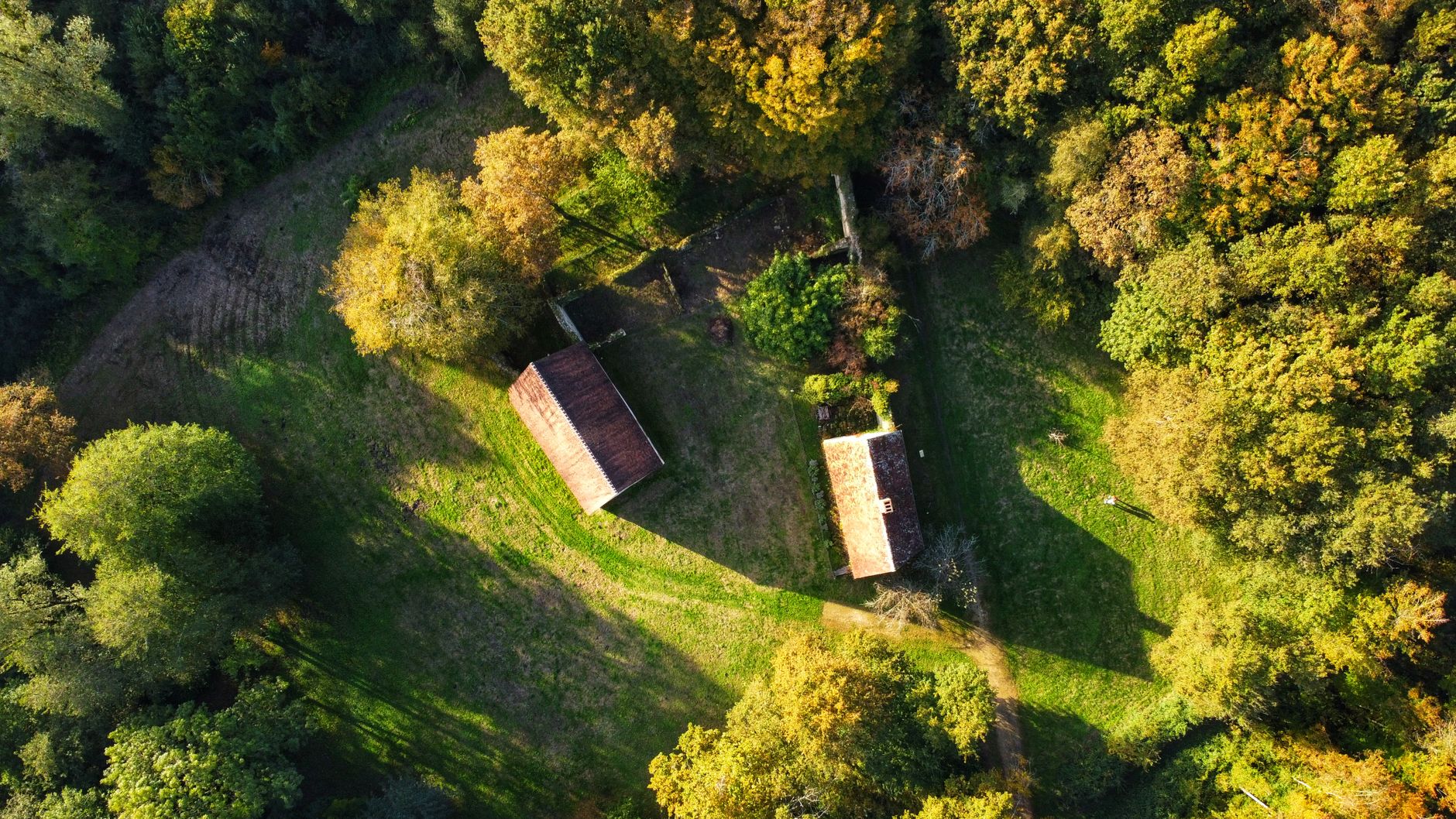 Drone capture of autumn forest landscape in Saint-Martin-d'Auxigny, France.