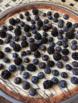Blueberry Cobbler Blueberry Cobbler Flavored Protein Bars
