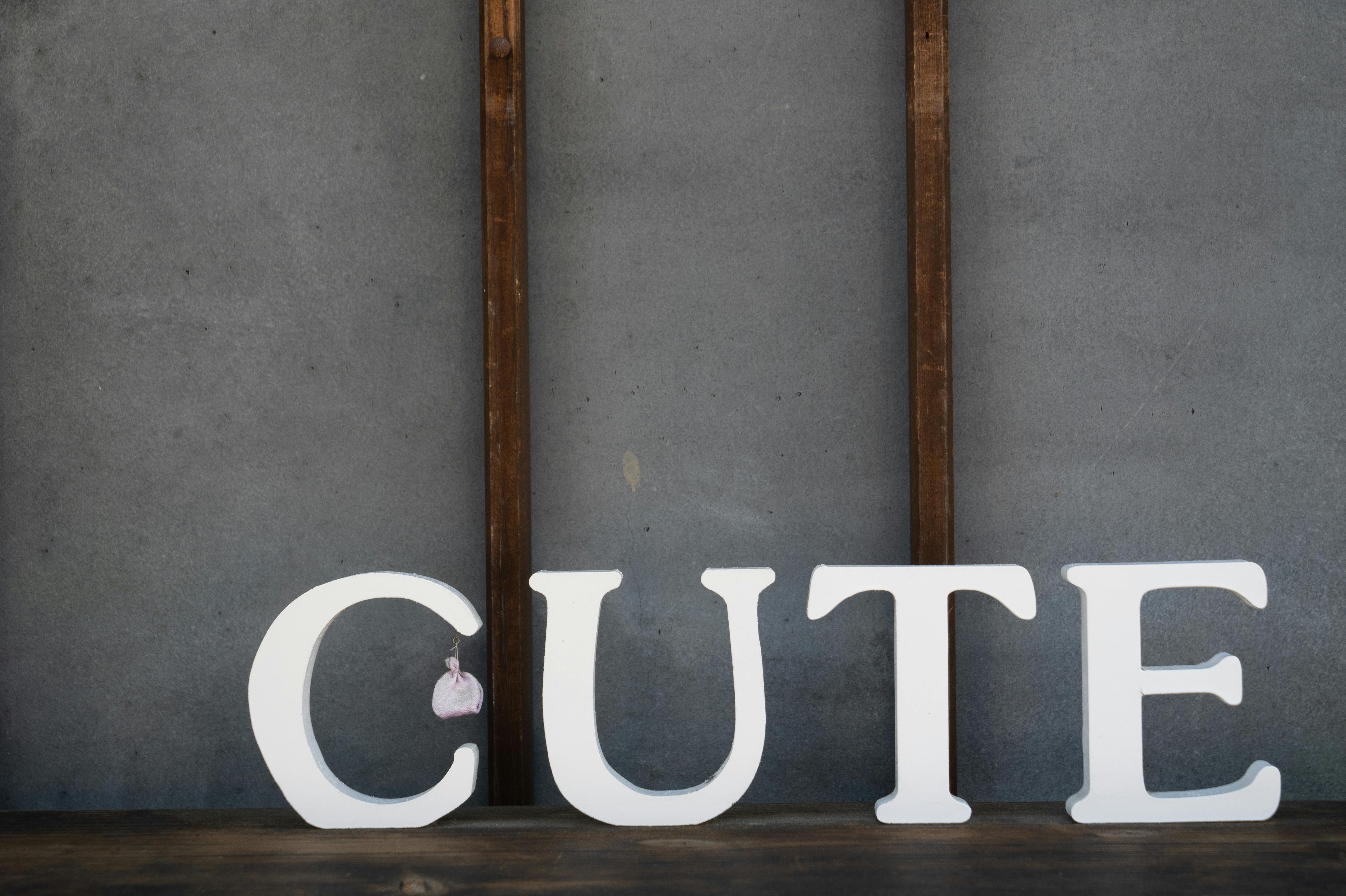 White Background Modern Photos, Download The BEST Free White Background