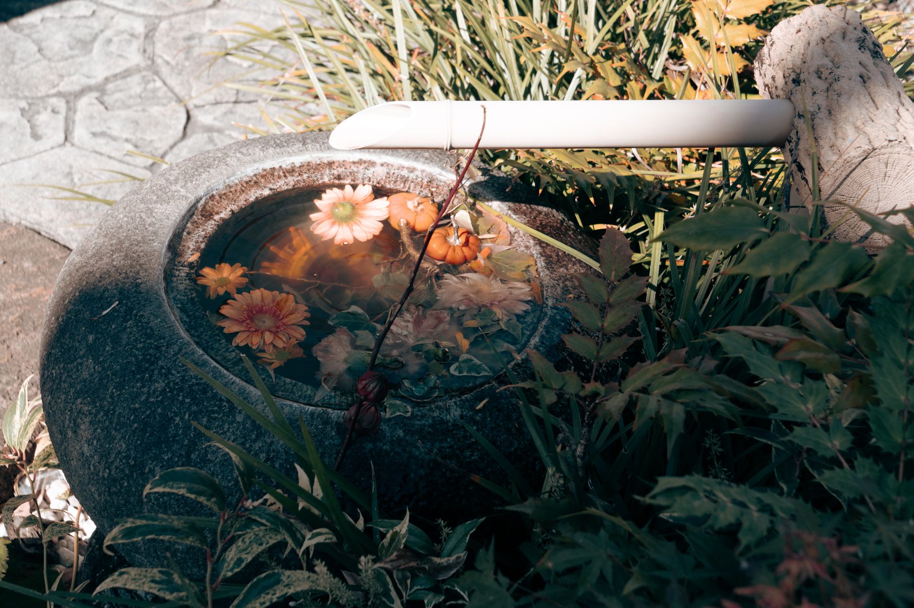 Kneipp-Wassertreten