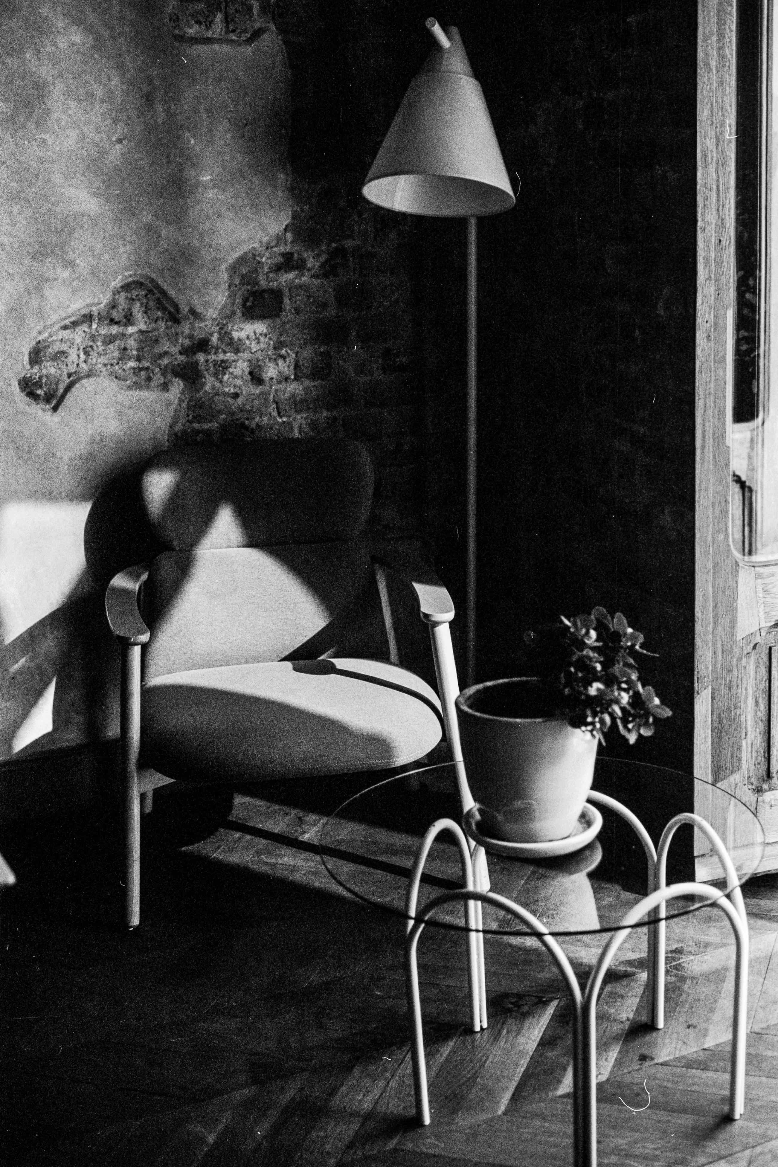 A vintage chair beside a potted plant in an artistic indoor setting with brick walls.