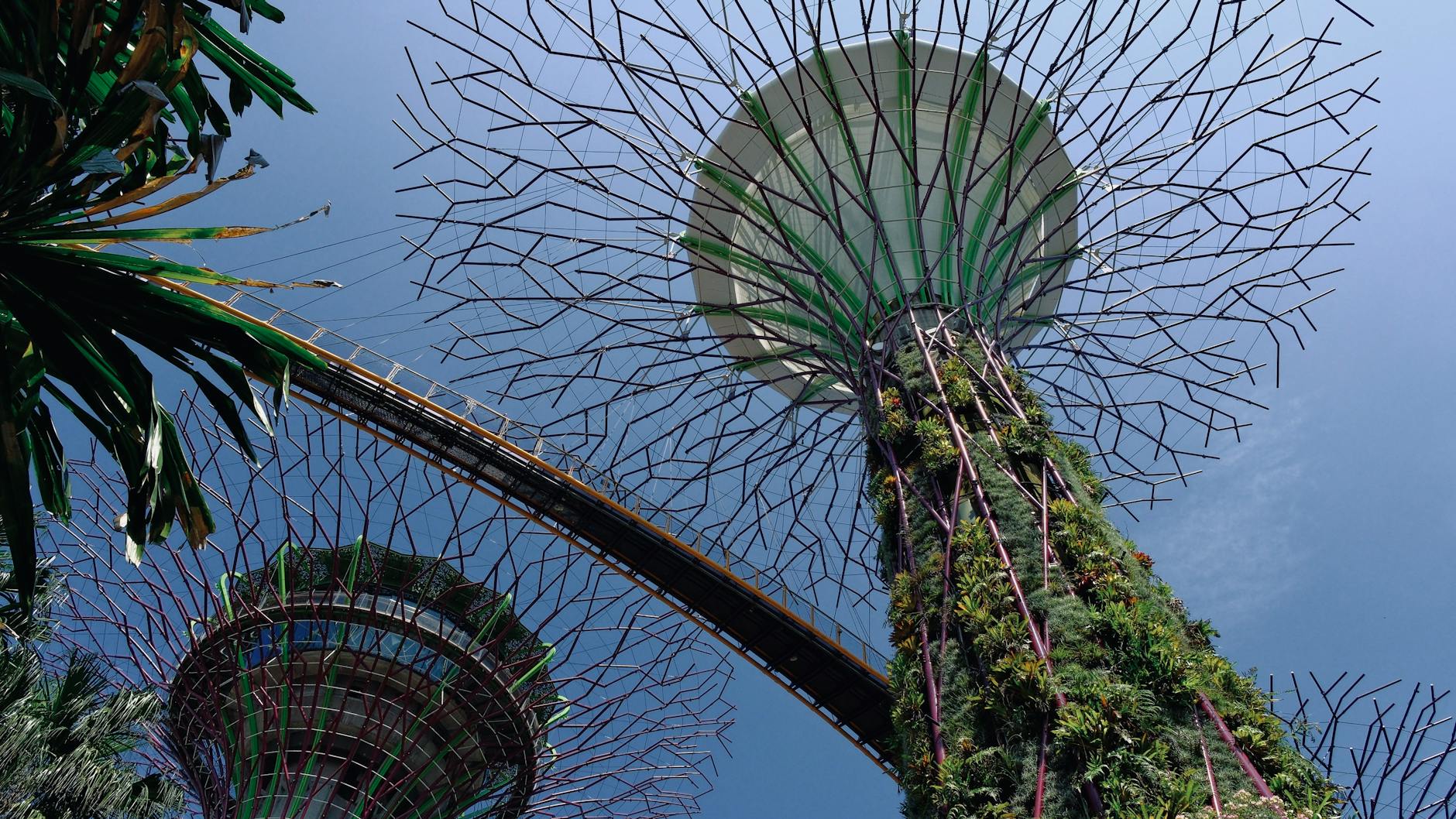 What is calendar integration? Focuskeeper Glossary What is calendar integration? Focuskeeper Glossary