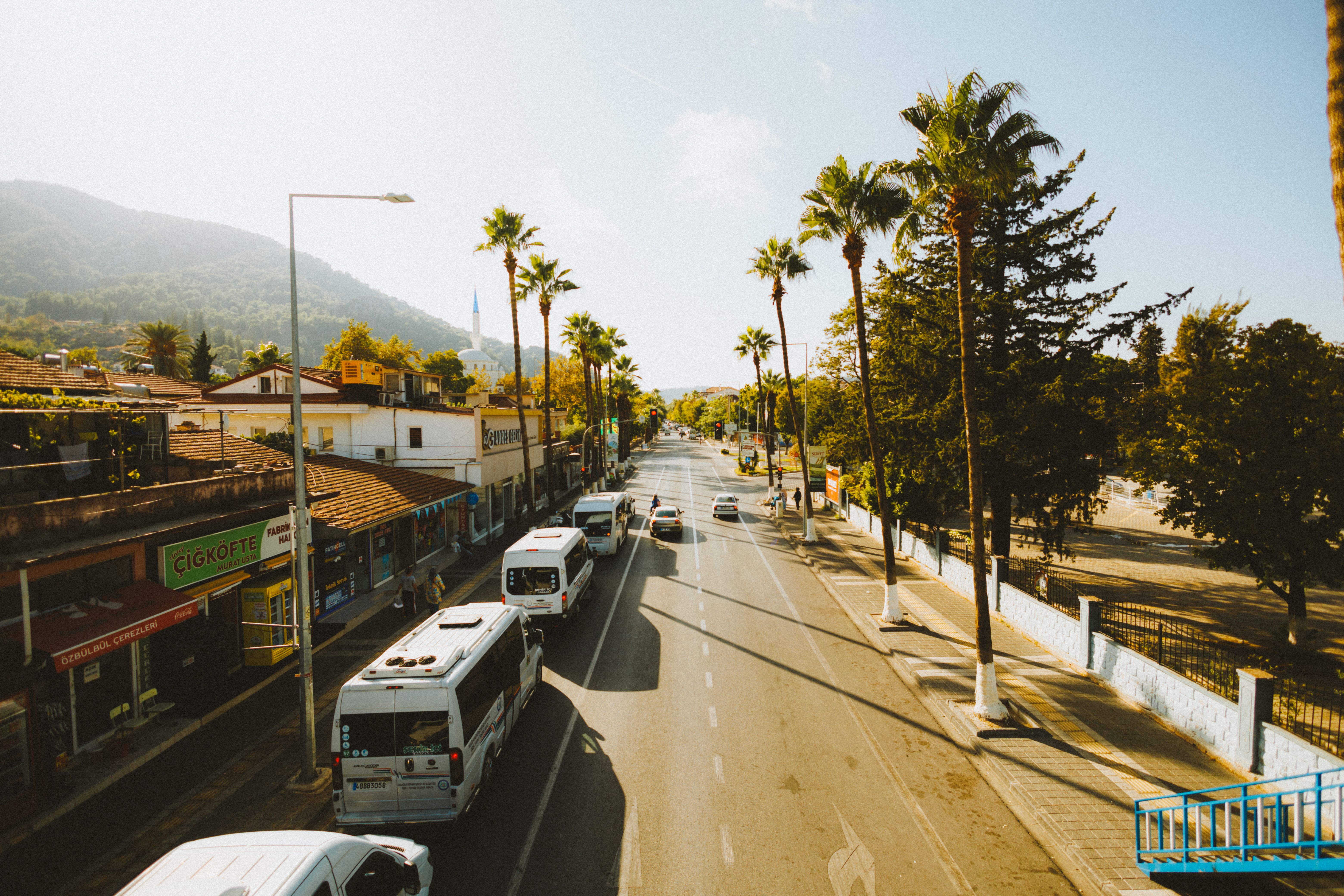 Local Buses and Shuttles: Getting Around Town