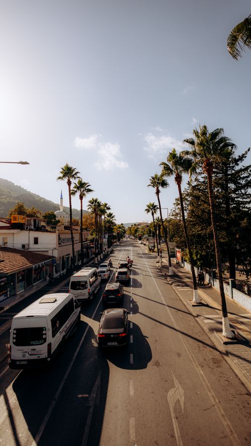 Free Aerial view of a sunny street lined with palm trees and cars. Stock Photo