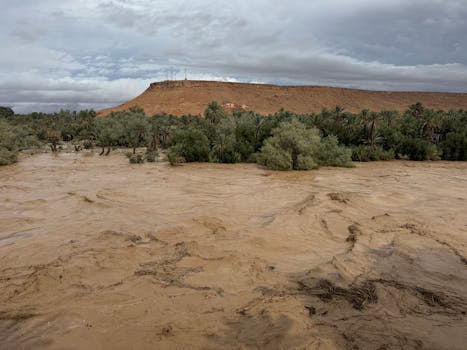 A dramatic flood event in Morocco showcasing nature's power with rushing waters and lush surroundings.
