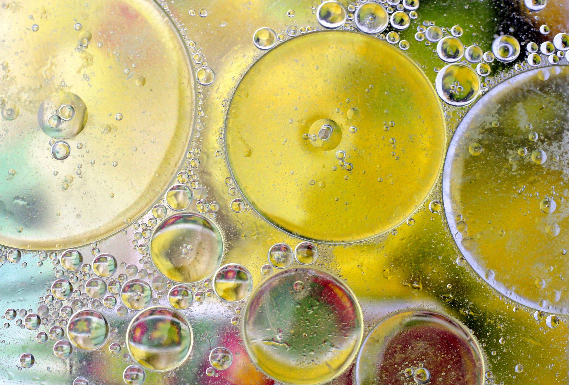 Vivid abstract close-up of oil and water bubbles creating colorful patterns.