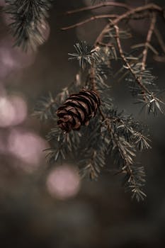 Close-up of a pine cone hanging on a branch in a moody forest atmosphere.