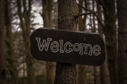 Free Dark wooden welcome sign hanging in a mysterious autumn forest Stock Photo