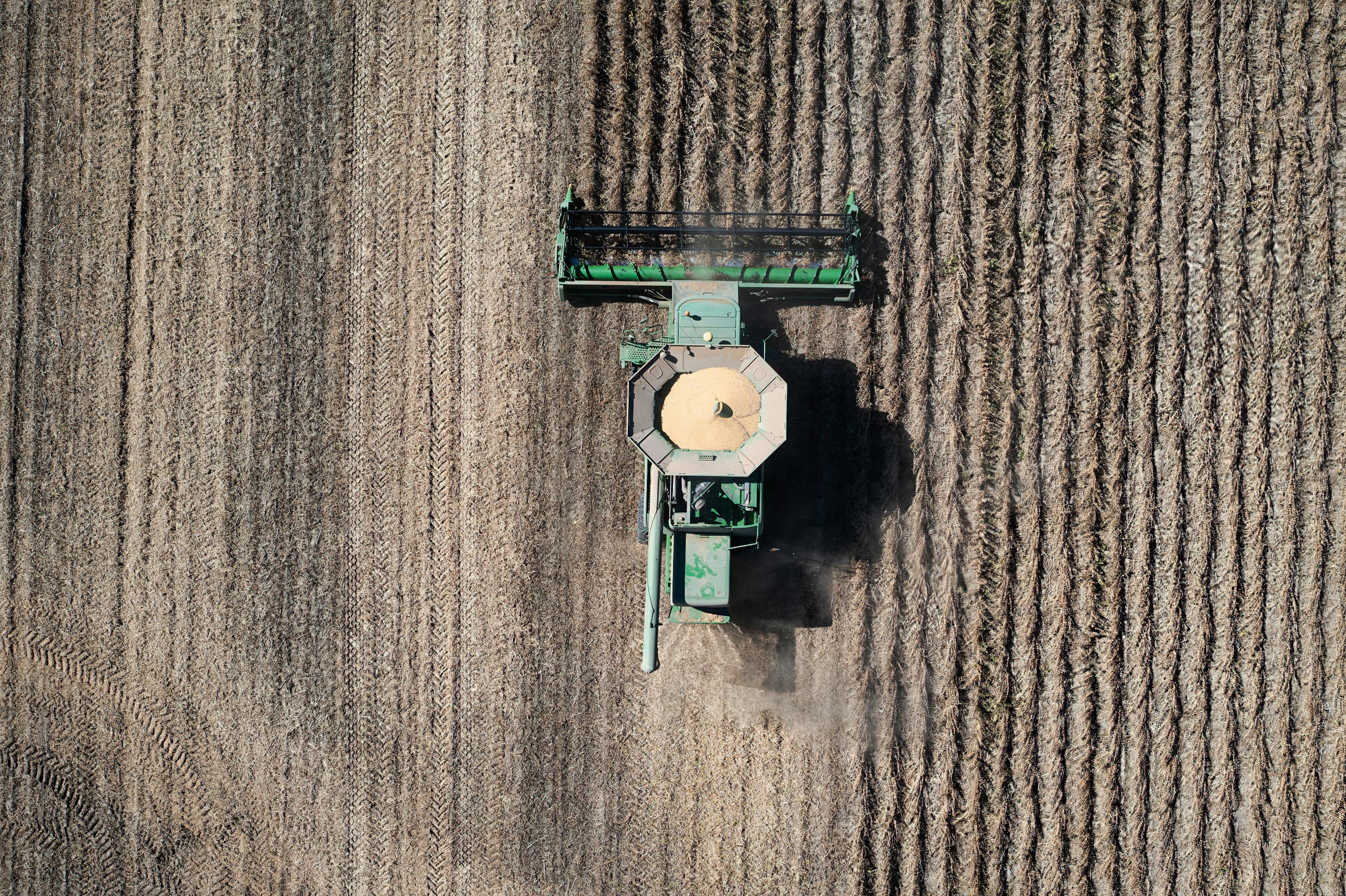 육로 입국 심사 과정