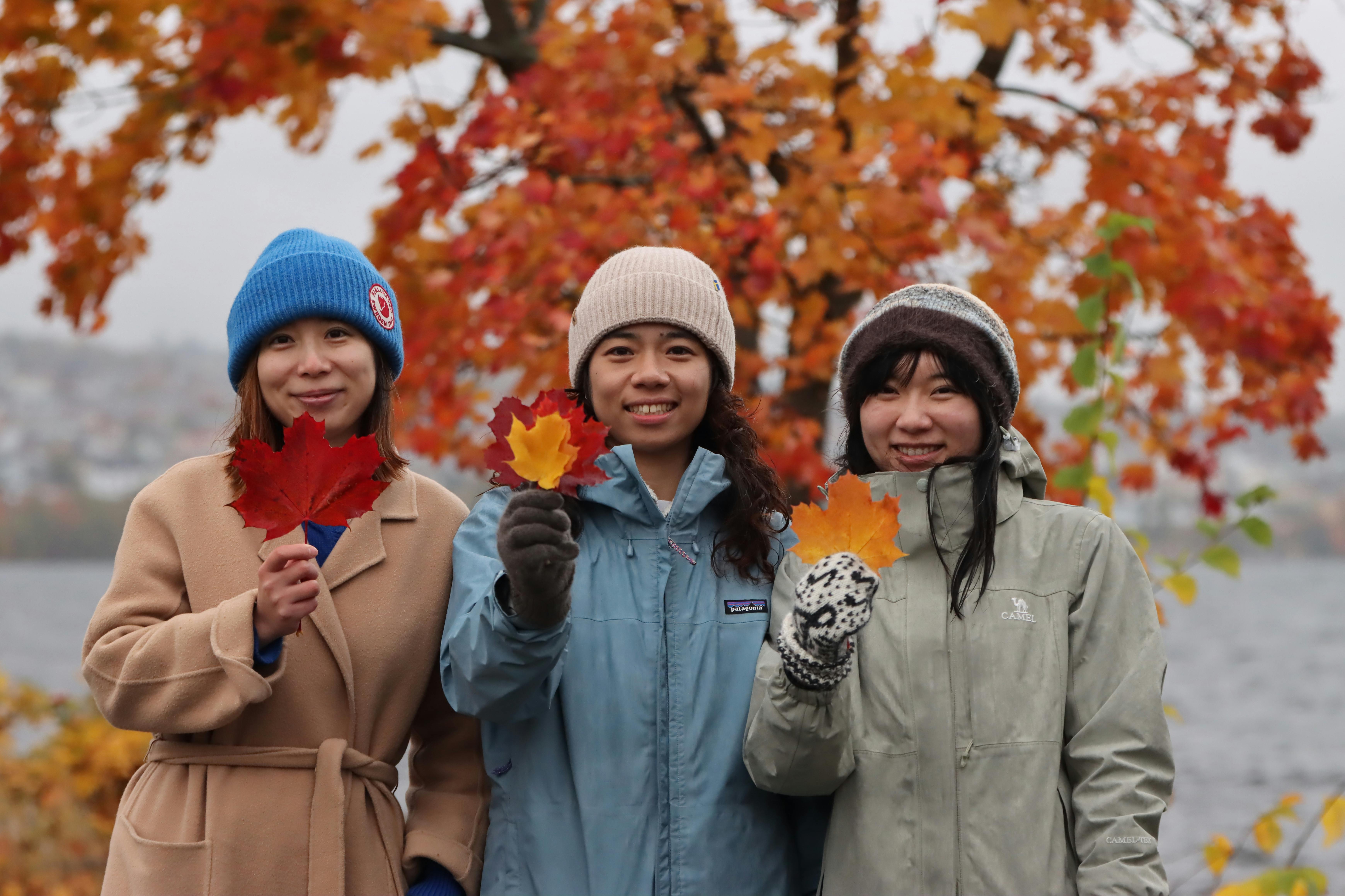 friends enjoying autumn leaves in sweden