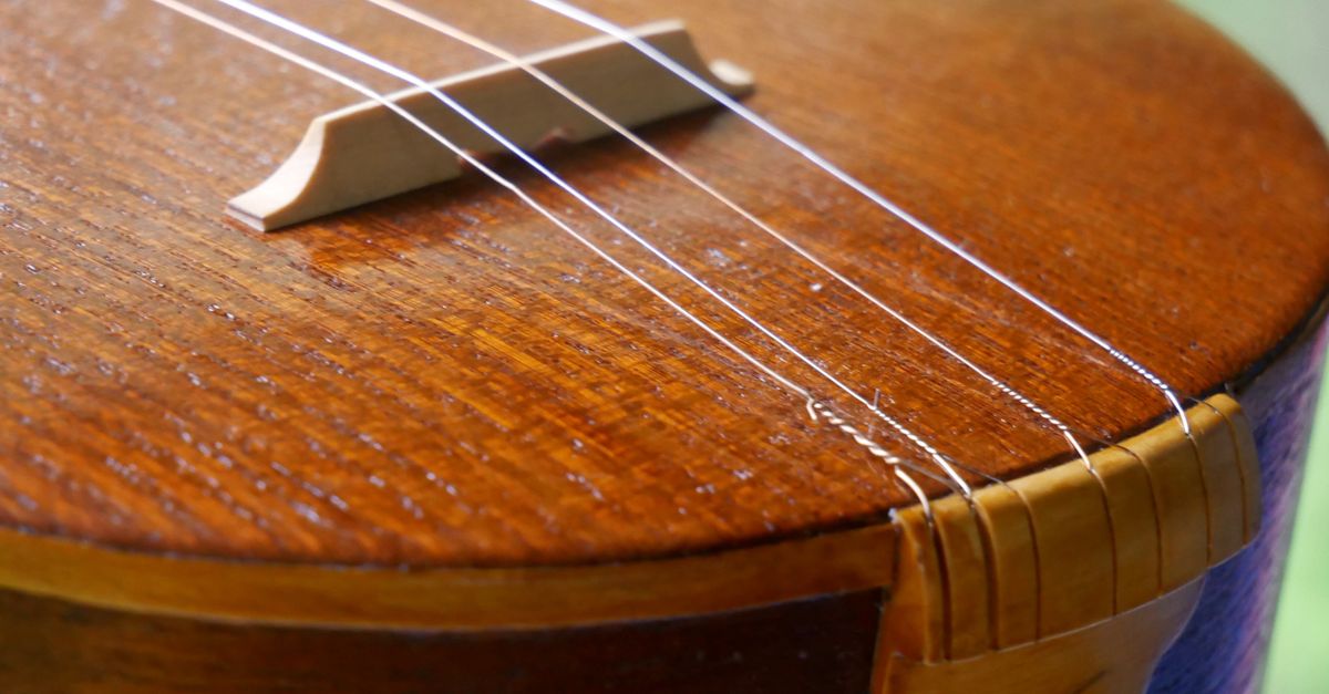 Close-up of a Traditional Wooden String Instrument · Free Stock Photo