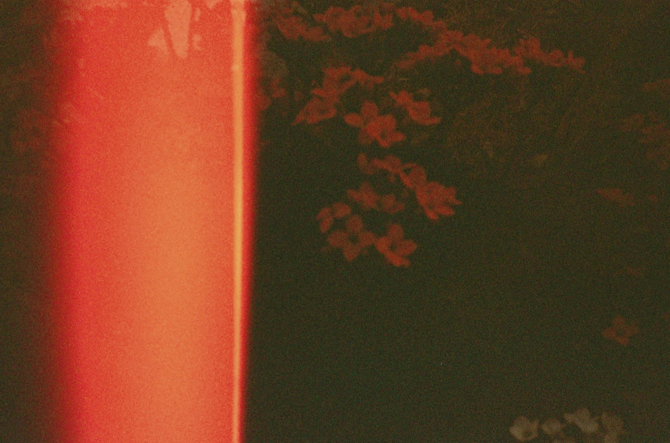 Zadarmo Abstract Light Leak S červeným Kvetinovým Motívom Fotka z fotobanky