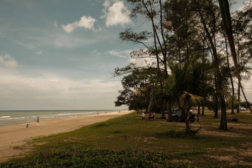 Free A peaceful tropical beach scene with palm trees and people enjoying the day. Stock Photo