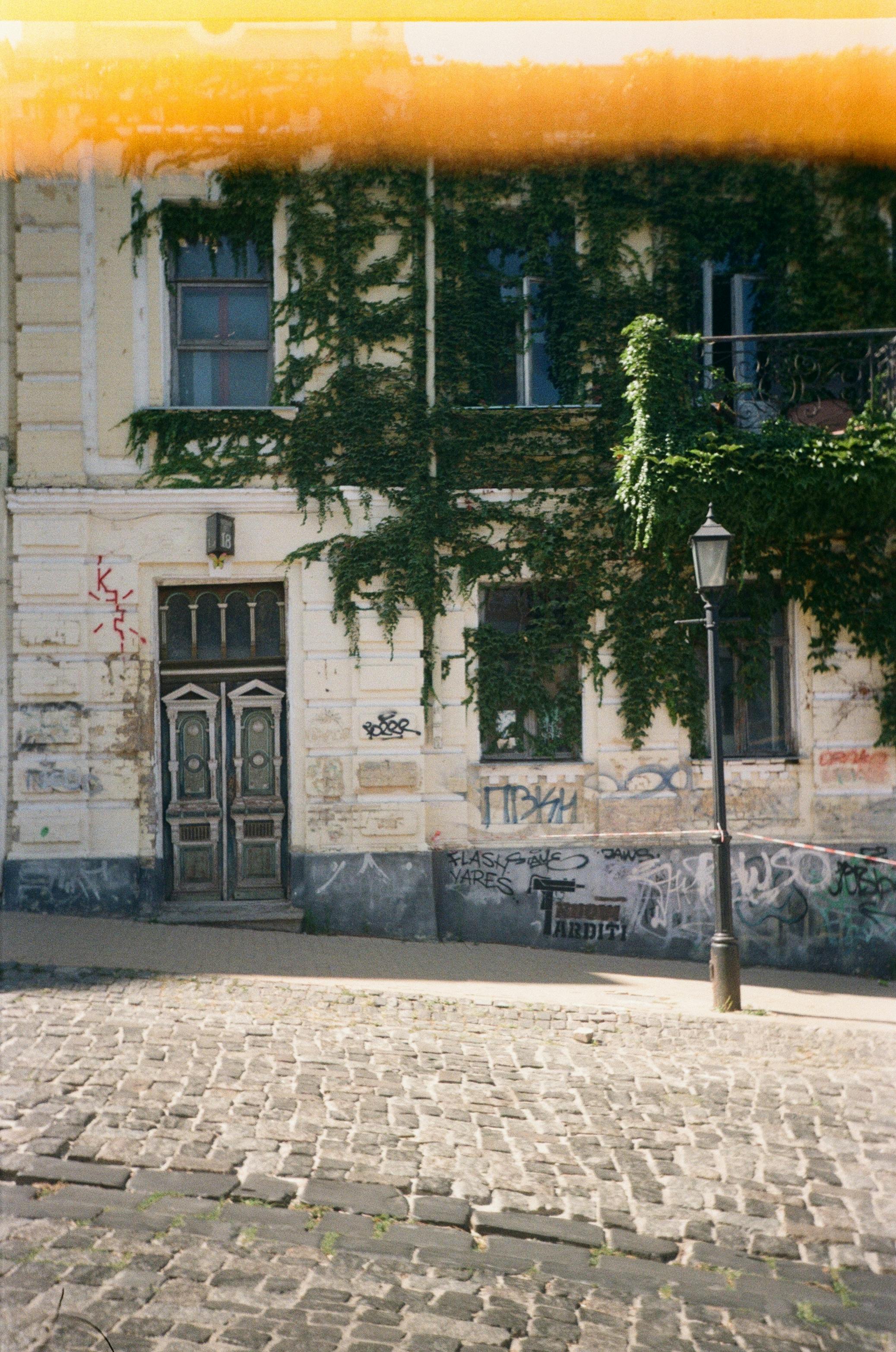 Gratuit Clădire Istorică Acoperită Cu Iederă Din Ucraina Fotografie de stoc