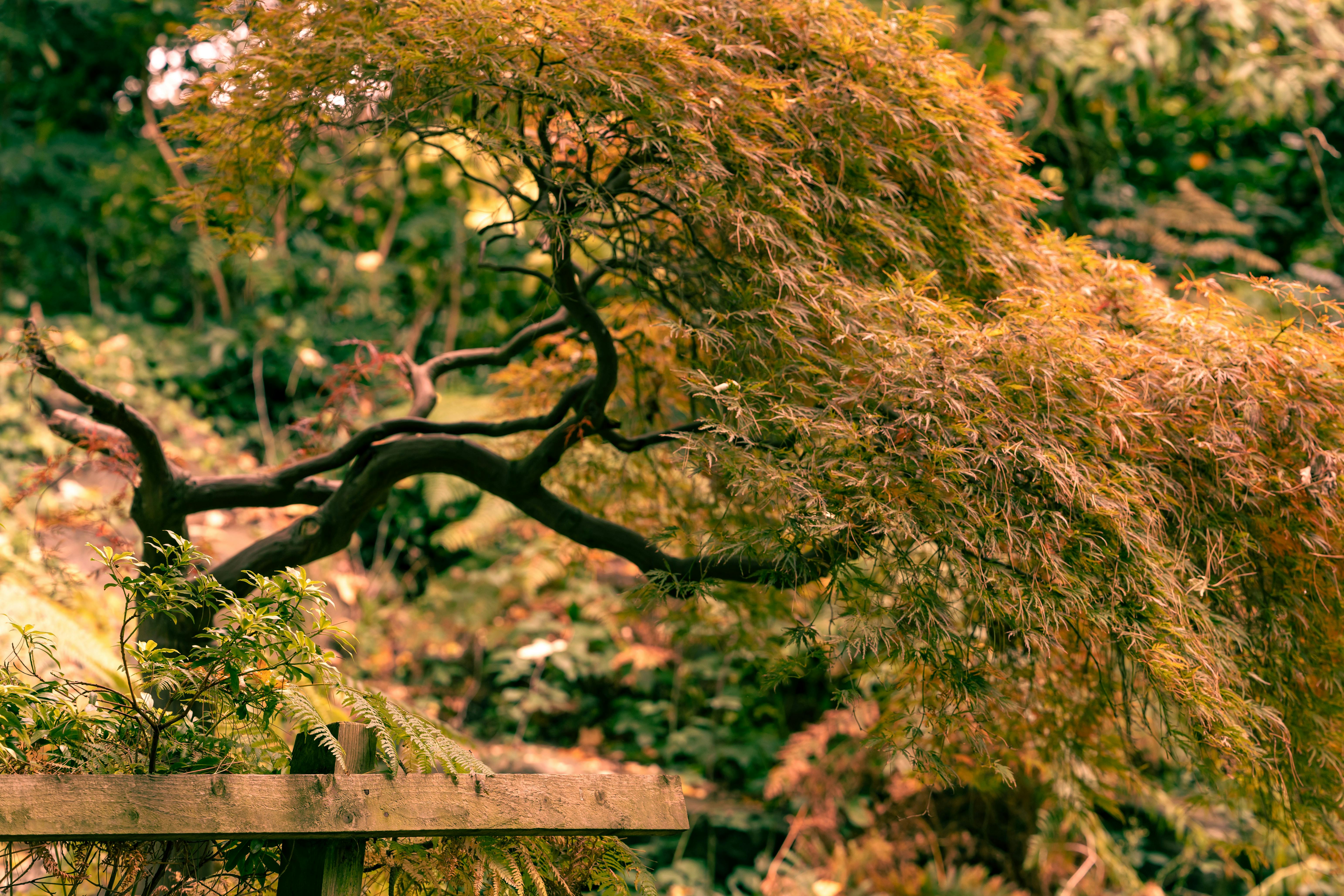 Crafting Thrilling Plot Twists