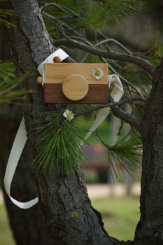 A wooden toy camera with daisy accents hangs on a tree branch outdoors.