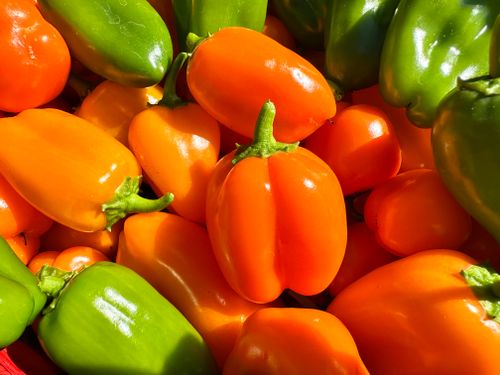 Free A vibrant display of orange and green bell peppers basking in sunlight. Stock Photo