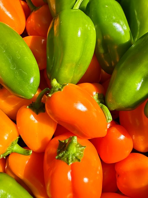 Free Close-up of colorful green and orange bell peppers basking in sunlight, showcasing their fresh appeal. Stock Photo