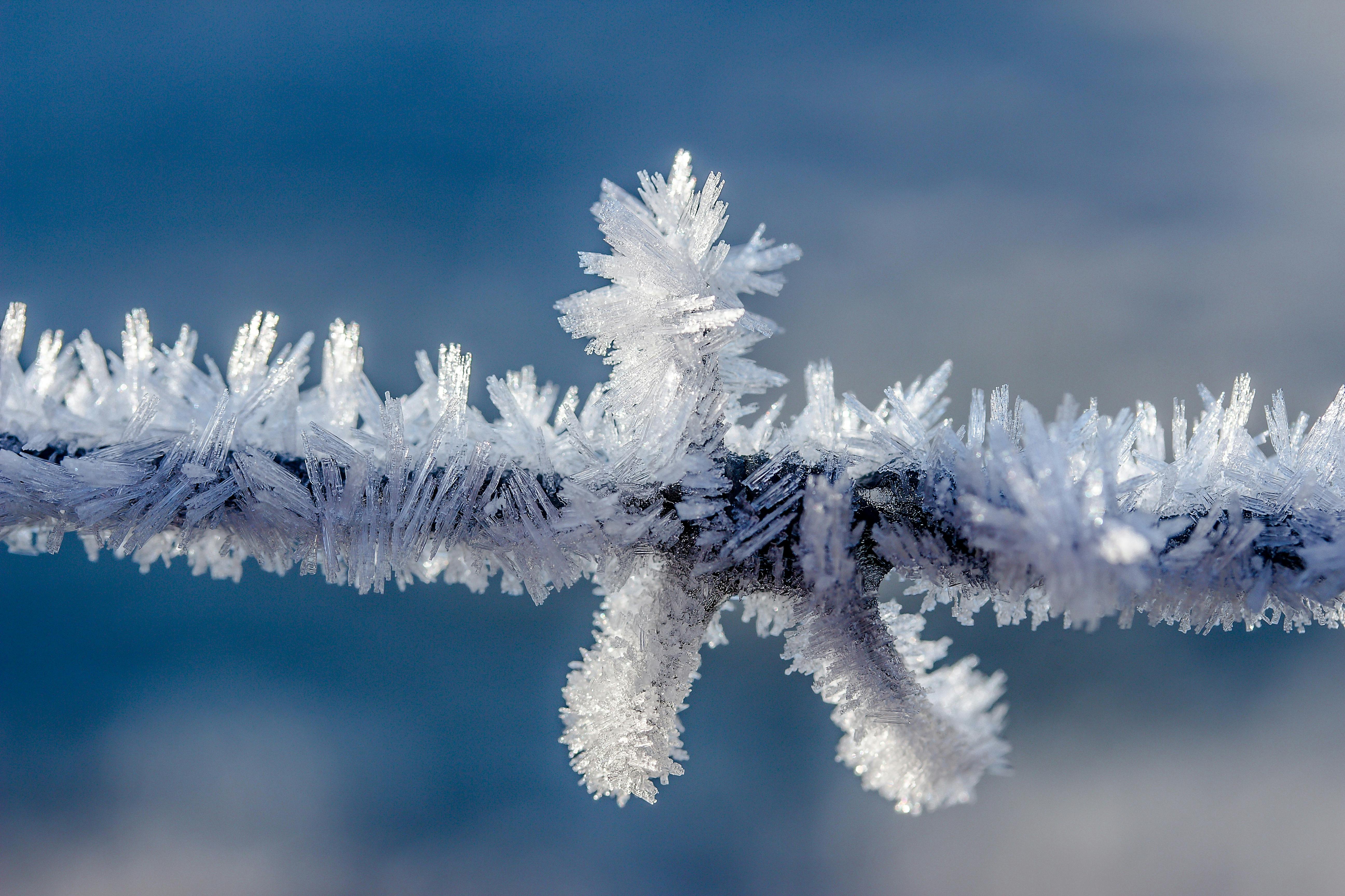 Close-up Photography of Snowflake · Free Stock Photo