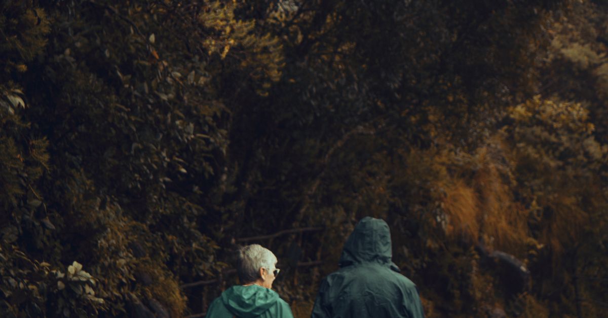 Senior couple walking on a forest path