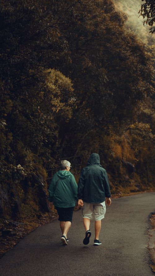 Free A senior couple enjoys a nature walk on a serene forest path holding hands. Stock Photo