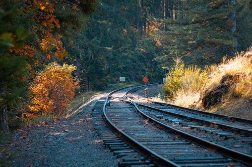 Free A winding railroad track amid vibrant autumn foliage, capturing the beauty of fall. Stock Photo