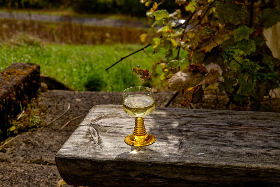 wine glass tasting golden paille color elegant